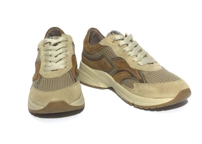 Dl Sport VETERSCHOEN - SNEAKER Taupe
